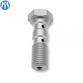 Vis de Banjo double M10