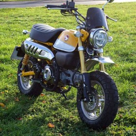 Saute vent Dart Modèle Piranha Honda Monkey