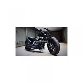 Saute vent Dart Modèle Piranha Harley-Davidson Sportster Xl883 Et 1200 Sauf C