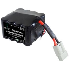 Batterie Lithium CCA480 12V (BM12009) image 1