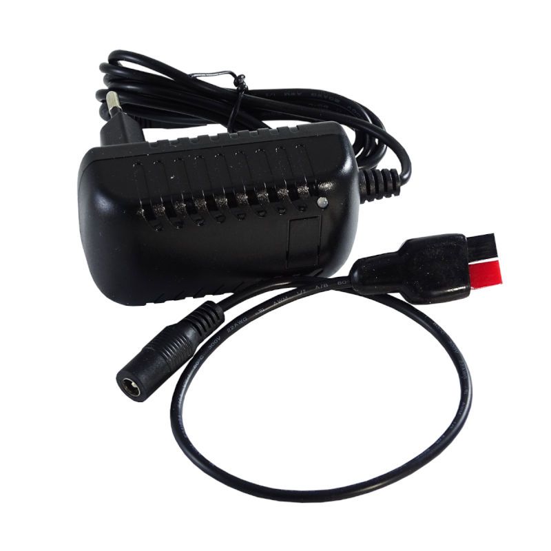 Chargeur de batterie au Lithium 6V Solise image 1