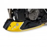 Sabot moteur Evo Ermax pour Yamaha XSR700 9