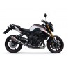 Pot GPR Exhaust Yamaha FZ 8 2010/16 échappement homologué Gpe Ann. Titaium