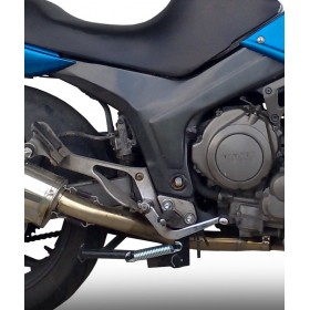 Pot GPR Exhaust Yamaha TDM 850 1991/01 échappement homologué Satinox