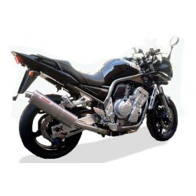Silencieux Albus GPR Exhaust pour Yamaha FZS 1000 Fazer 2001 - 2005 1