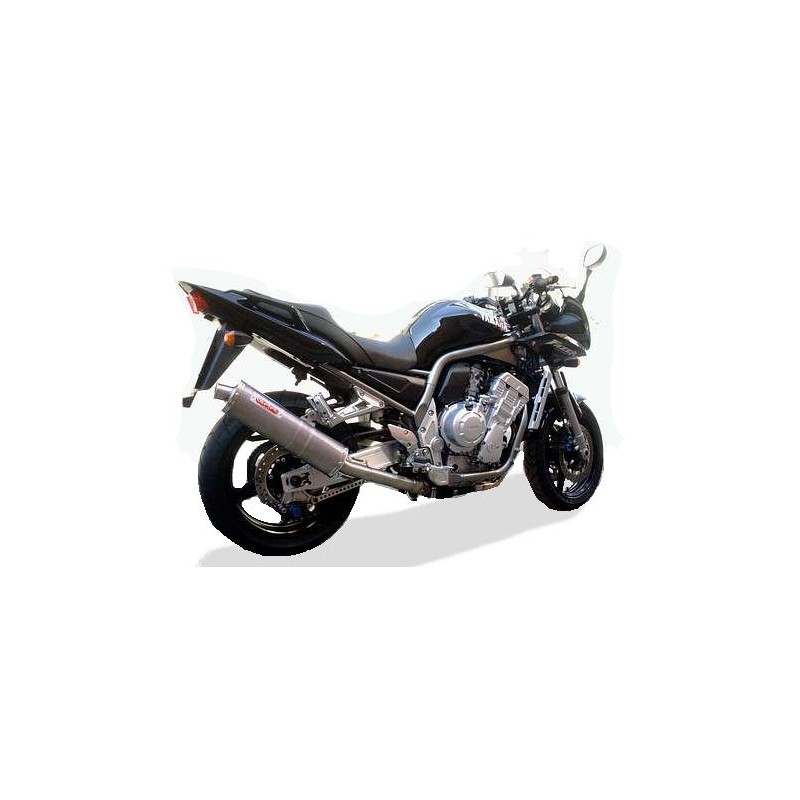 Silencieux Albus GPR Exhaust pour Yamaha FZS 1000 Fazer 2001 - 2005 1