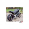 Ducati Monster 696 Ex-Box Evoluzione Homologué