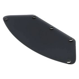 Visière fumée pour Gringo Blast Shield Biltwell image 1