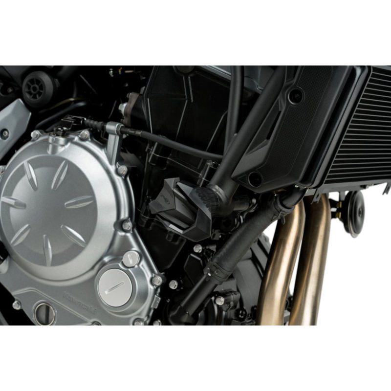 Jeu de cache gomme protection moteur R19 Puig image 6