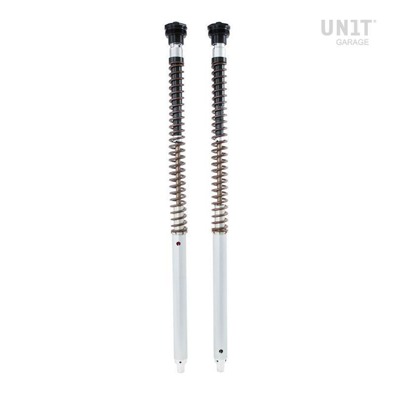Cartouche de fourche Öhlins pour Yamaha XSR900 1