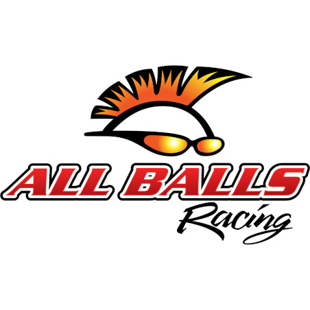 Logo All Balls Modification Motorcycles