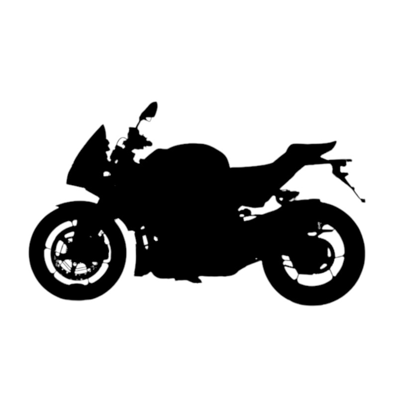 Vignette Aprilia 1000 Tuono V4