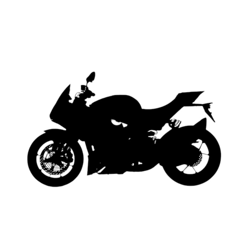 Vignette Aprilia 1100 Tuono V4