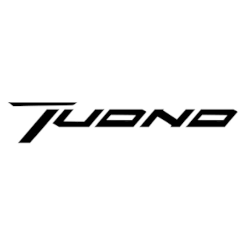 Vignette Aprilia Tuono
