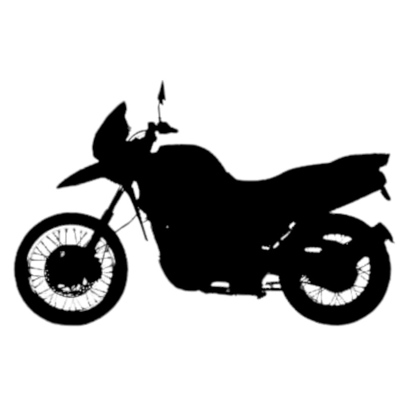 Vignette BMW F 650 GS