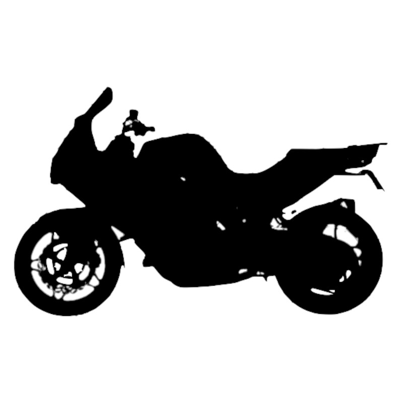 Vignette BMW F 800 ST
