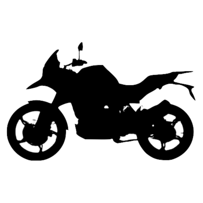 Vignette BMW G 310 GS