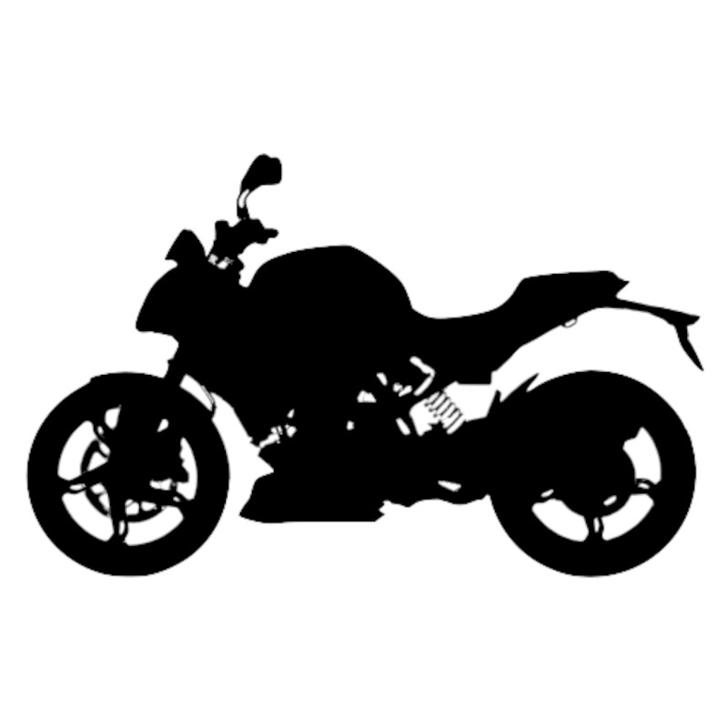 Vignette BMW G 310 R