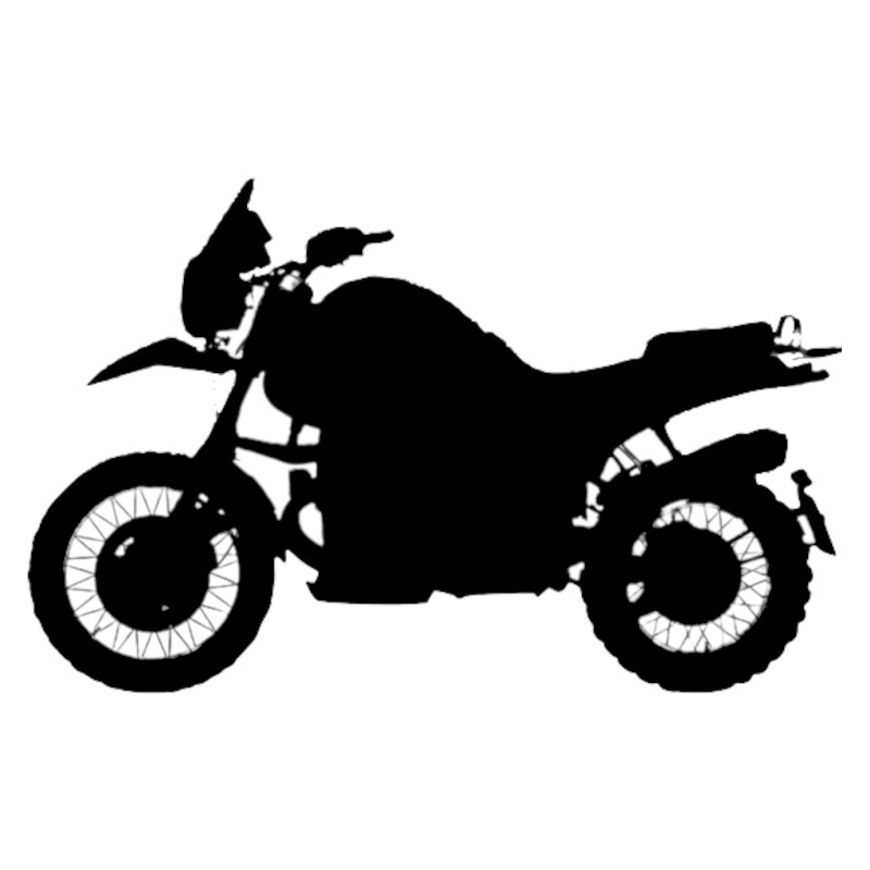 Vignette BMW R 1100 GS