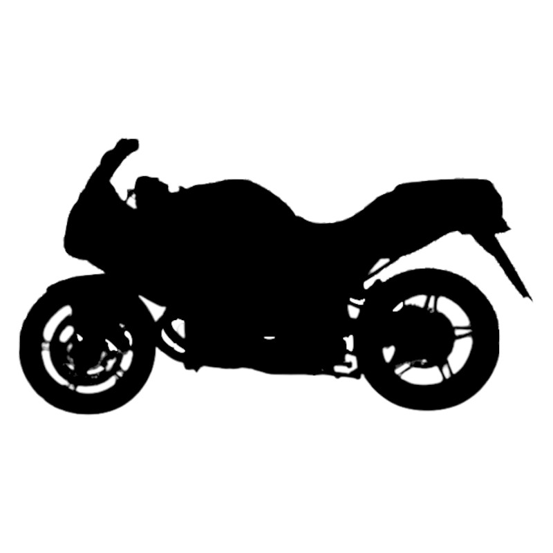 Vignette BMW R 1100 S