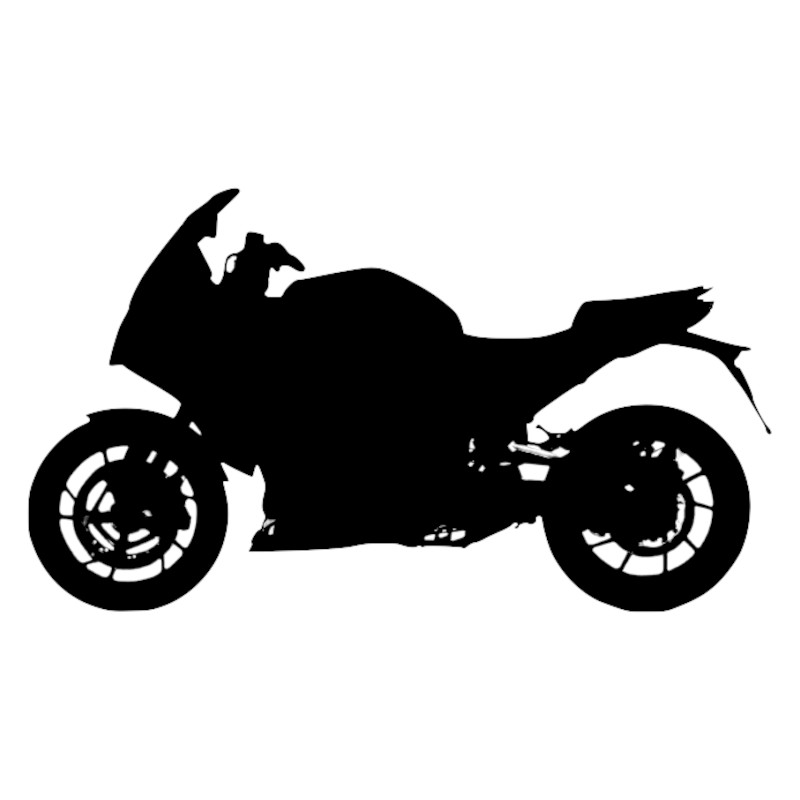 Vignette BMW R 1200 RS