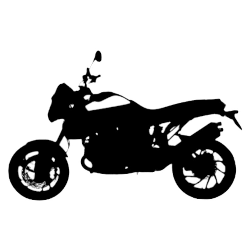 Vignette BMW 1200 HP2 Megamoto