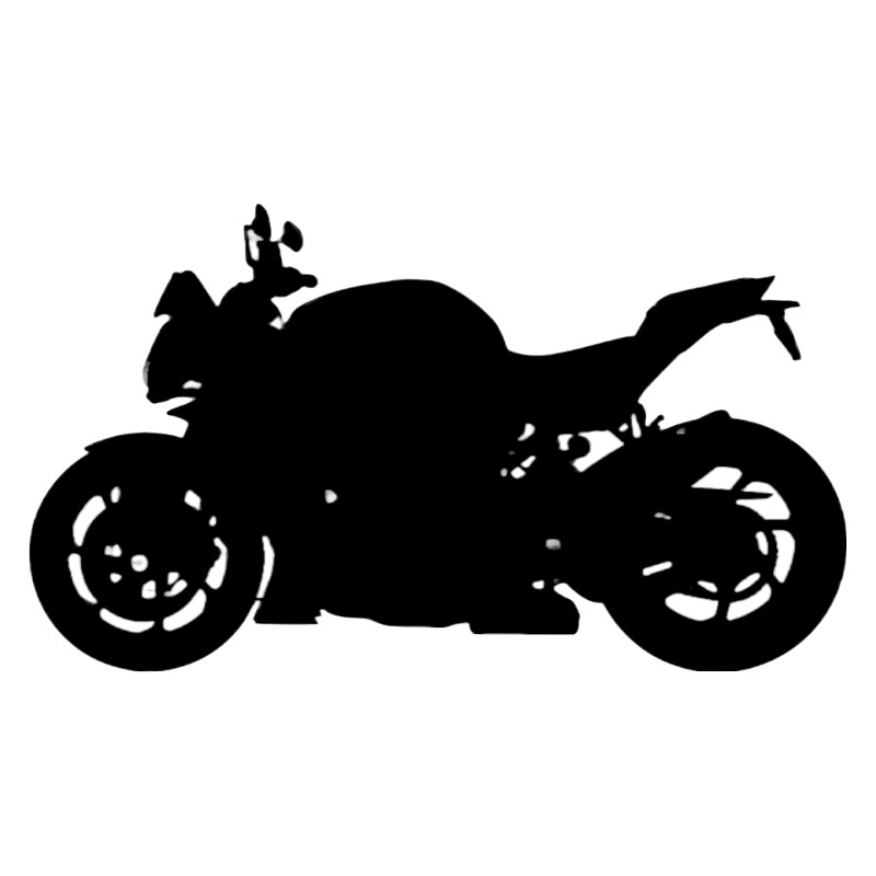 Vignette BMW M 1000 RR