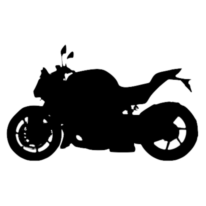 Vignette BMW S 1000 R