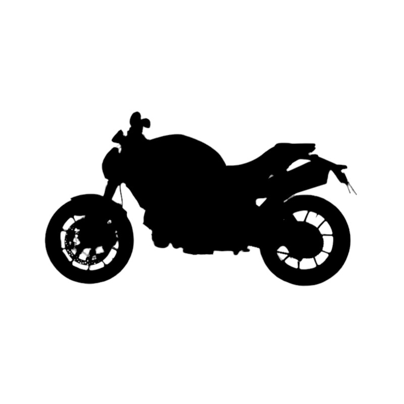 Vignette Ducati 1100 Monster