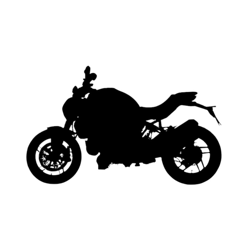 Vignette Ducati 1200 Monster