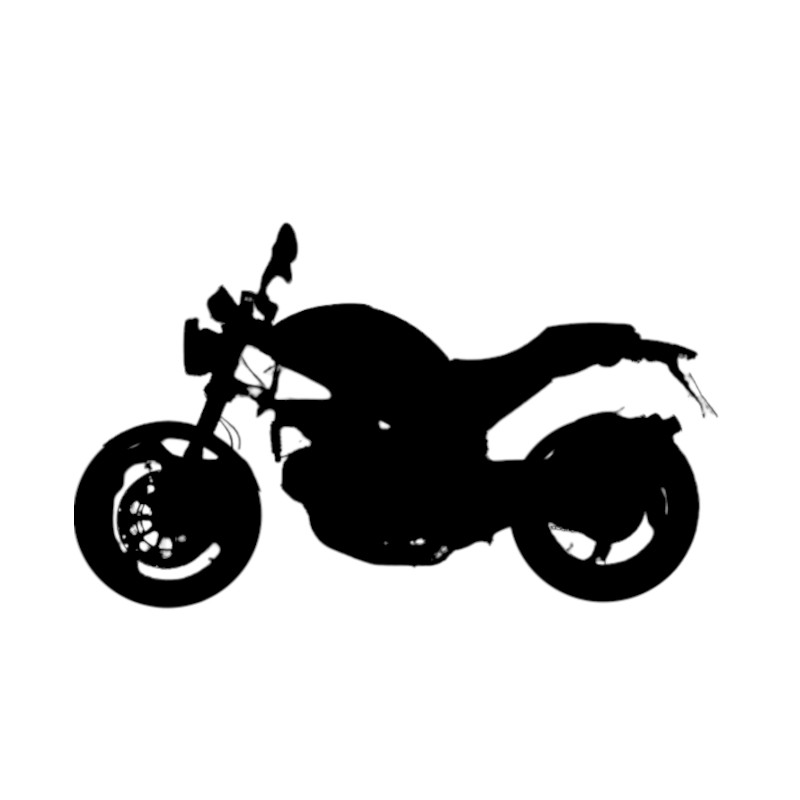 Vignette Ducati 800 Monster