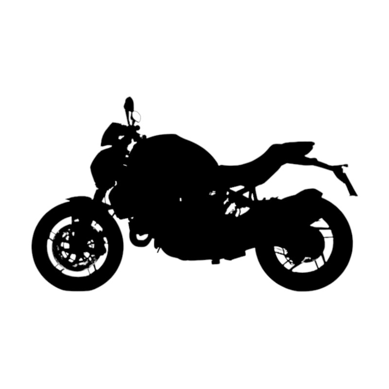 Vignette Ducati 821 Monster