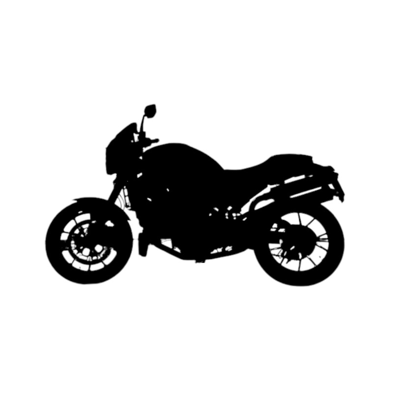 Vignette Ducati 998 Monster