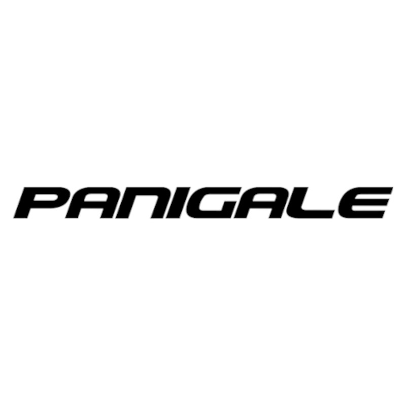 Vignette Ducati Panigale