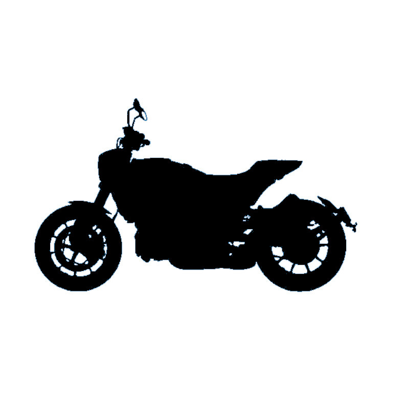 Vignette Indian FTR 1200