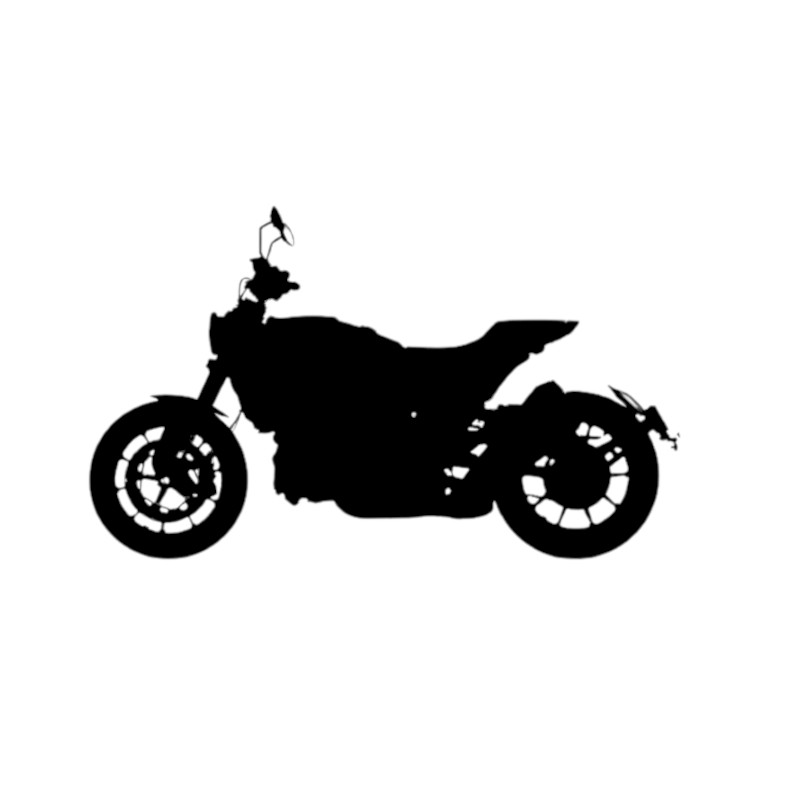 Vignette Indian FTR 1200 Rally
