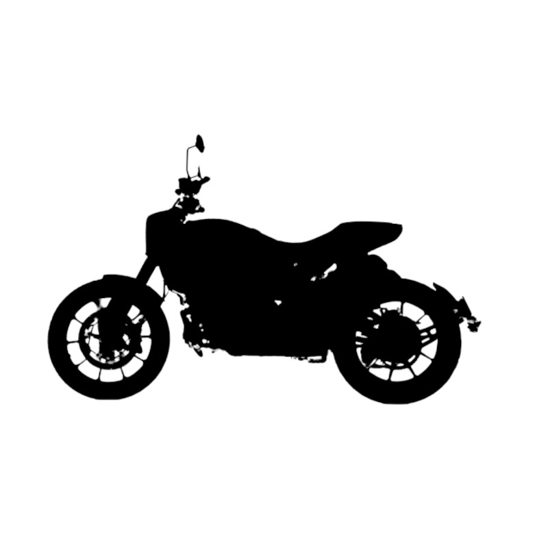 Vignette Indian FTR 1200 S