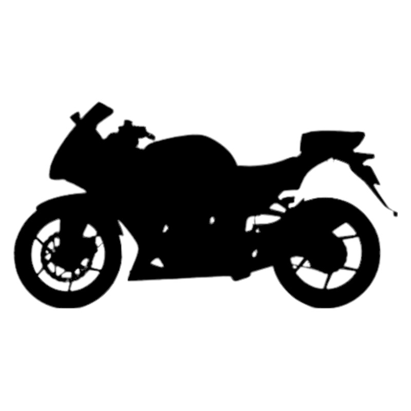 Vignette Kawasaki Ninja 250 R