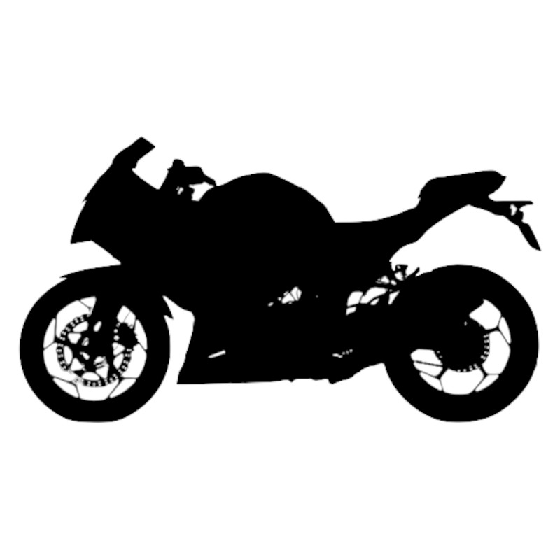 Vignette Kawasaki Ninja 300
