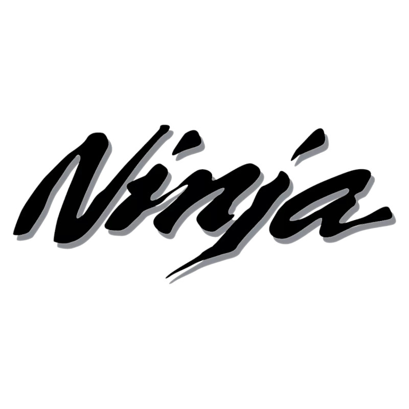 Vignette Kawasaki Ninja