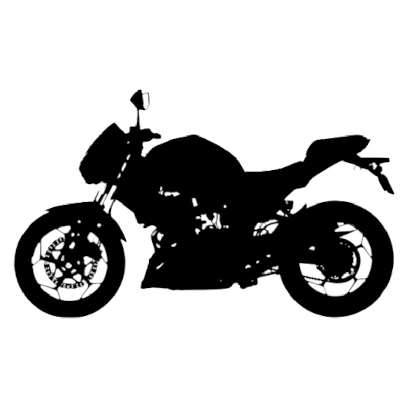 Vignette Kawasaki Z 300