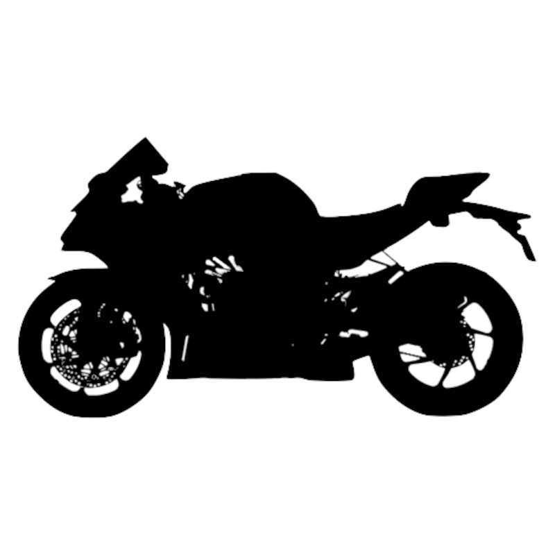 Vignette Kawasaki Ninja 1000 ZX-10RR
