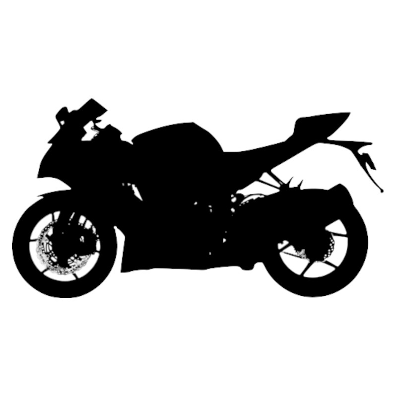Vignette Kawasaki 636 ZX-6R KRT Edition