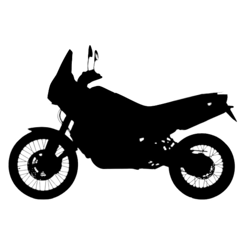 Vignette KTM 990 Adventure R