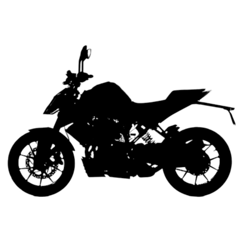 Vignette KTM 125 Duke