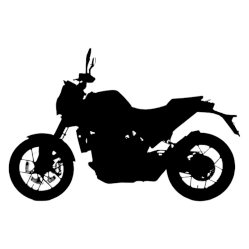 Vignette KTM 690 Duke