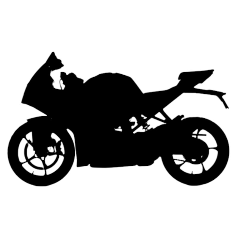 Vignette KTM RC 390