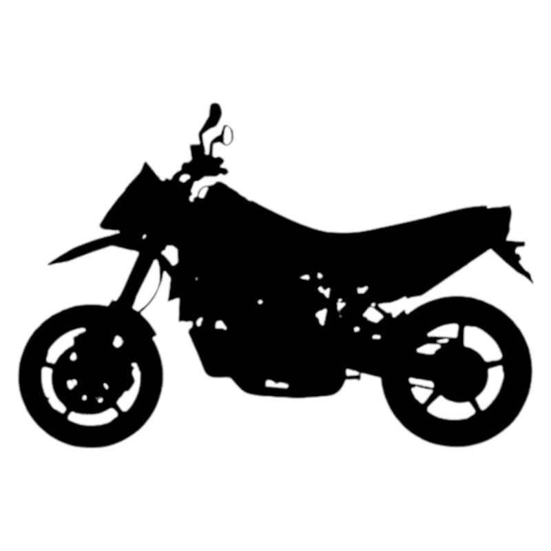 Vignette KTM 950 Supermoto R