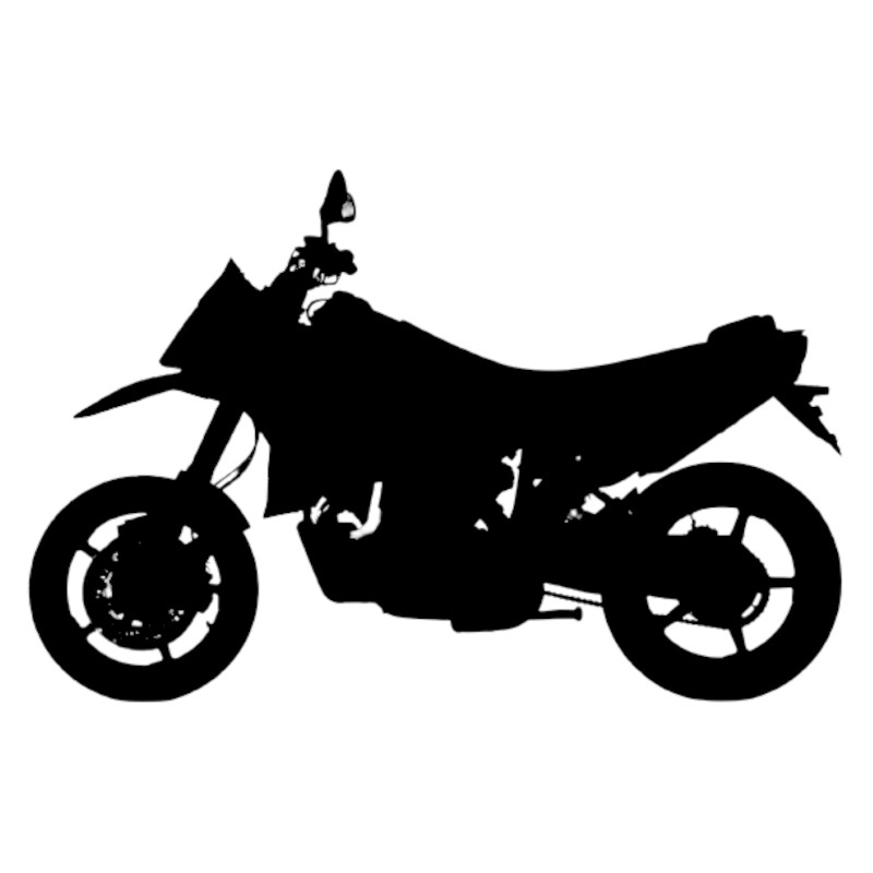 Vignette KTM 950 Supermoto