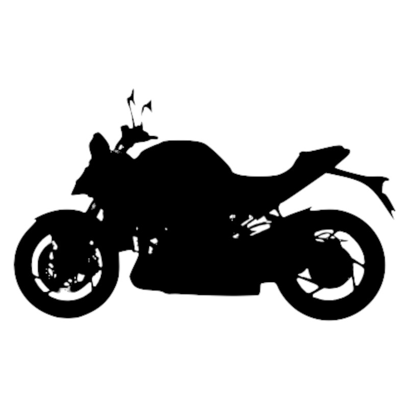 Vignette Suzuki GSX-S 1000